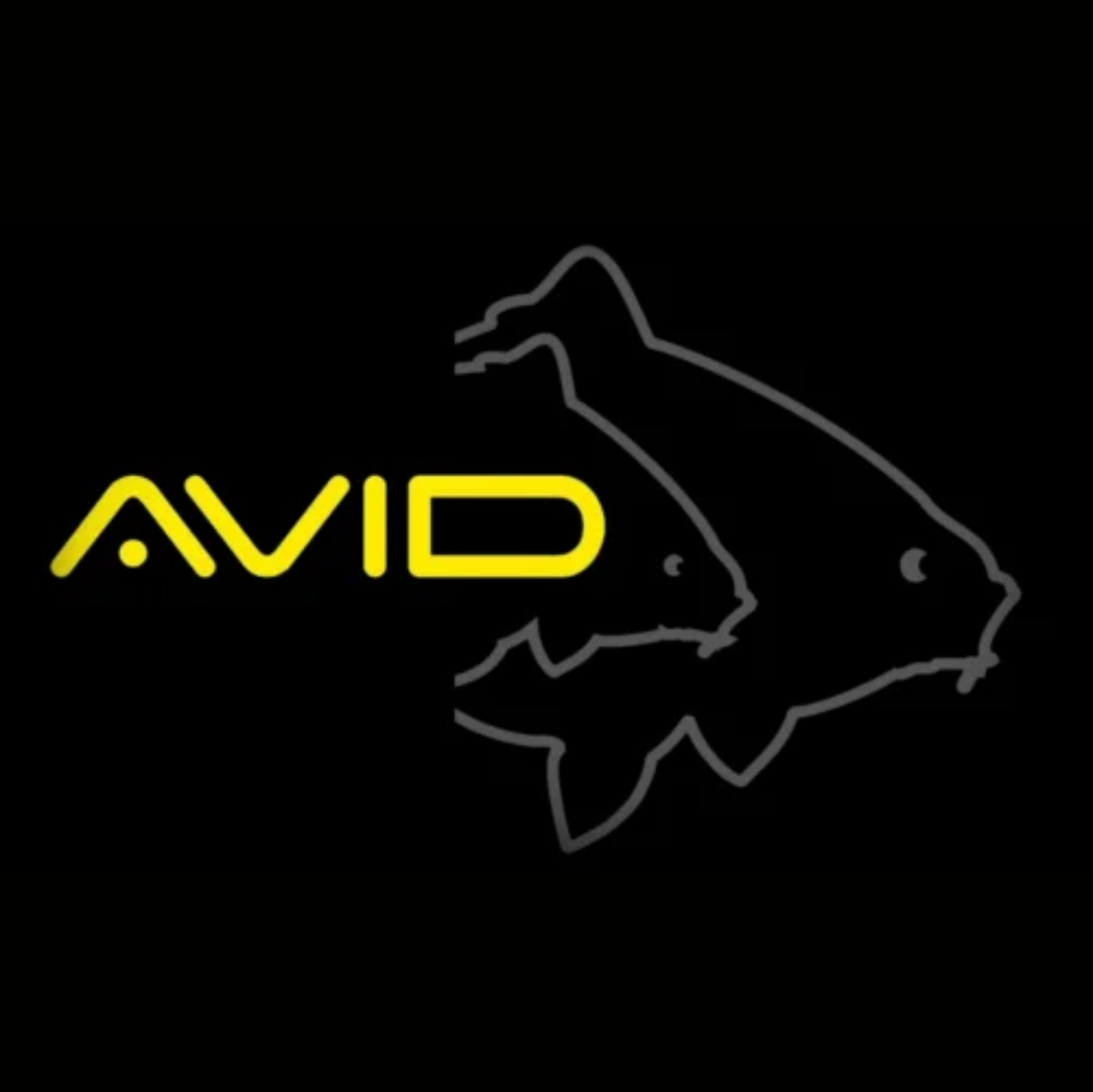 Avid Carp
